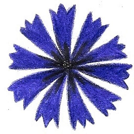 liscorner